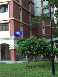 Blk 313 Sembawang Drive (Sembawang), HDB 5 Rooms #126952972